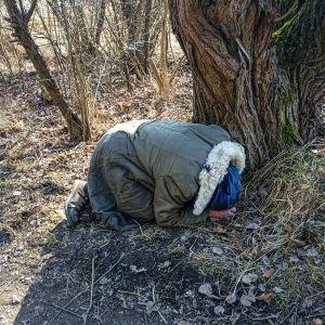 f6c8d5da-59a9-4bd8-9a34-9feb6ea58b35