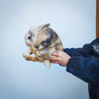 WhatsApp Image 2025-01-20 at 09.25.10 (1) WhatsApp Image 2025-01-20 at 09.25.10 (1)