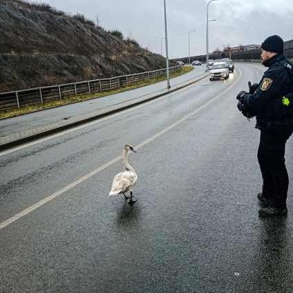 WhatsApp Image 2025-01-28 at 14.54.26 WhatsApp Image 2025-01-28 at 14.54.26