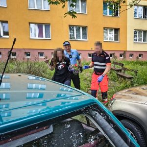 WhatsApp Image 2025-06-03 at 09.29.44 (1) WhatsApp Image 2025-06-03 at 09.29.44 (1)