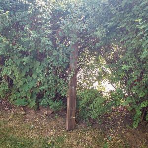 WhatsApp Image 2025-06-30 at 12.41.44 (2)