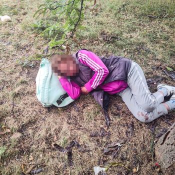 WhatsApp Image 2025-07-25 at 11.13.32