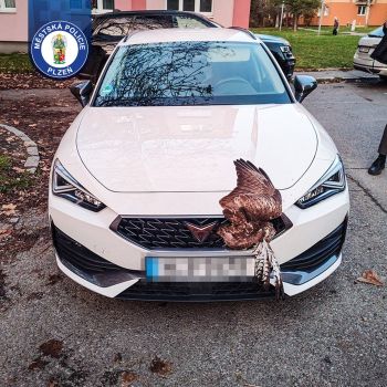 WhatsApp Image 2025-11-22 at 21.51.56