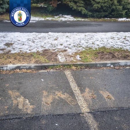 WhatsApp Image 2026-02-19 at 09.28.50 (1)